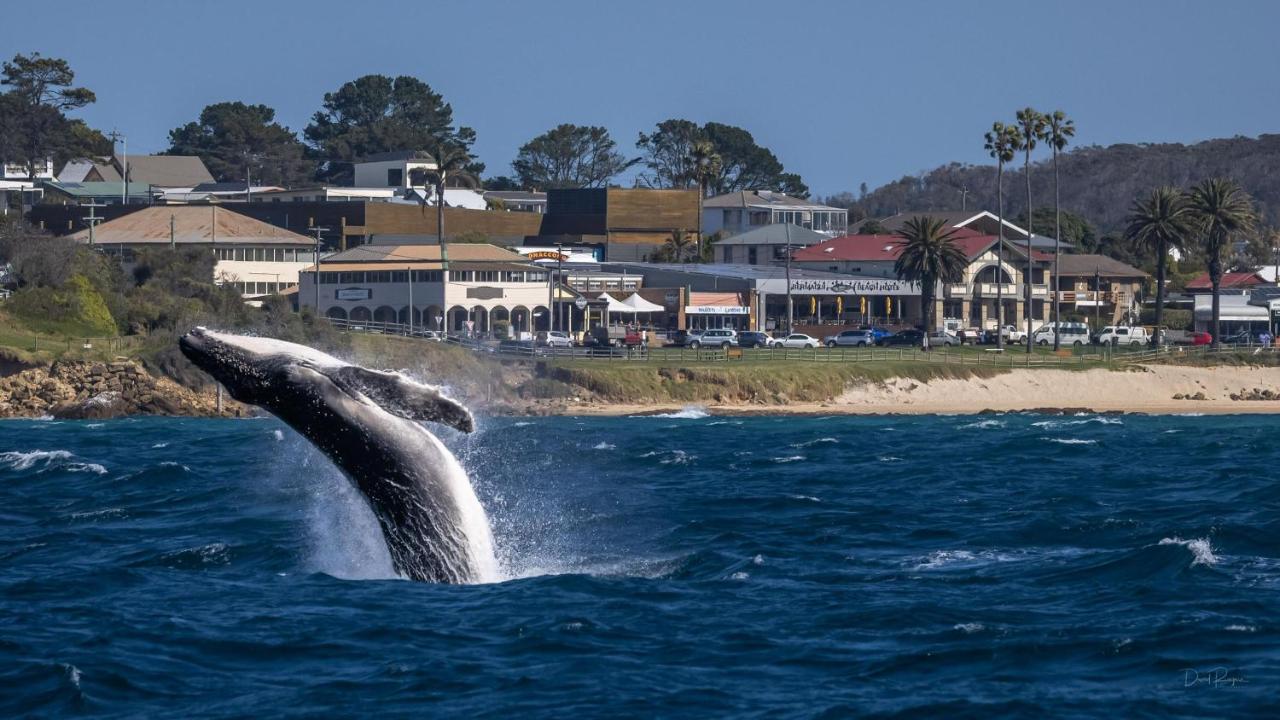 Bermagui Beach Hotel Exterior photo